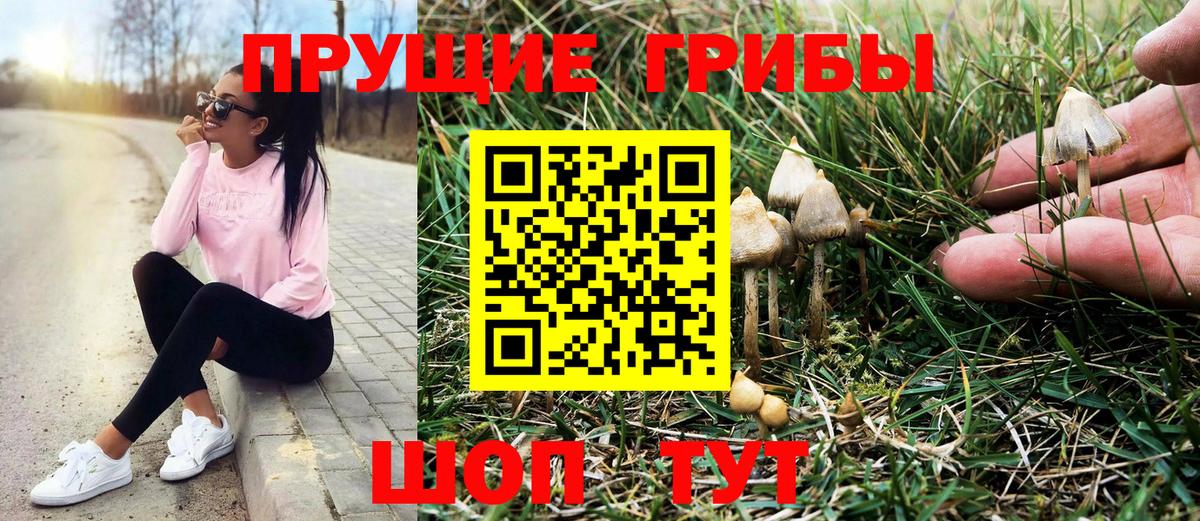 Псилоцибиновые грибы мицелий Надым